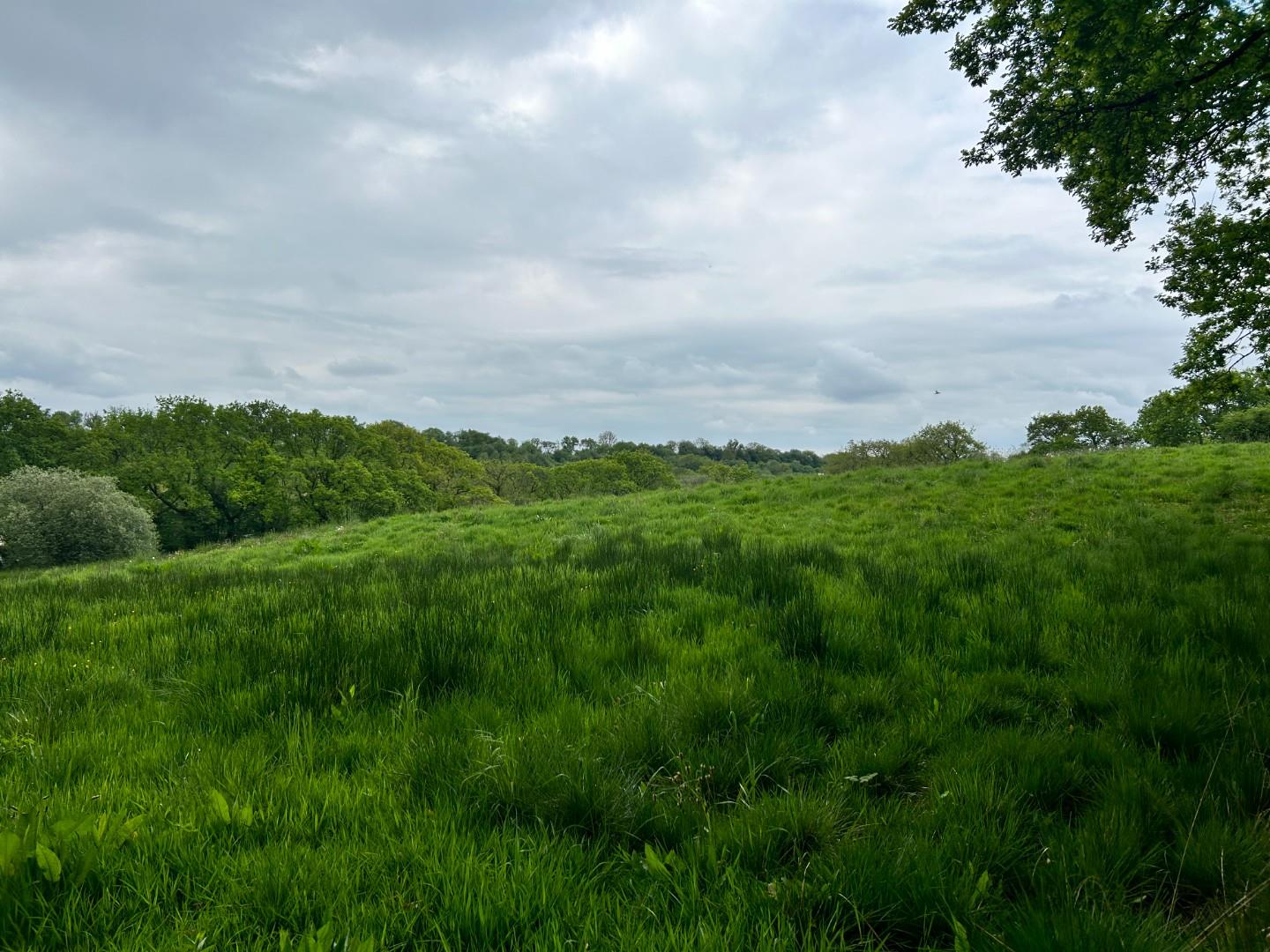 Approximately 8.443 acres of Agricultural Land, Gate Road, Penygroes, Lanelli